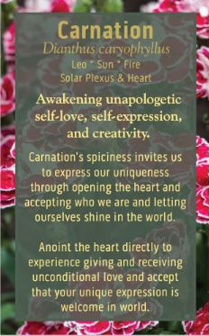 Zodiac Ritual Card Deck