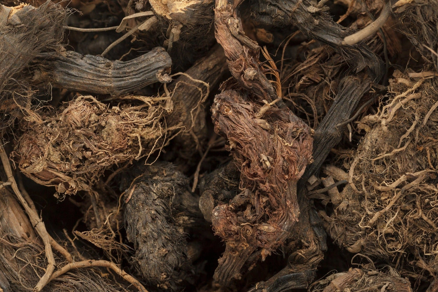 Spikenard