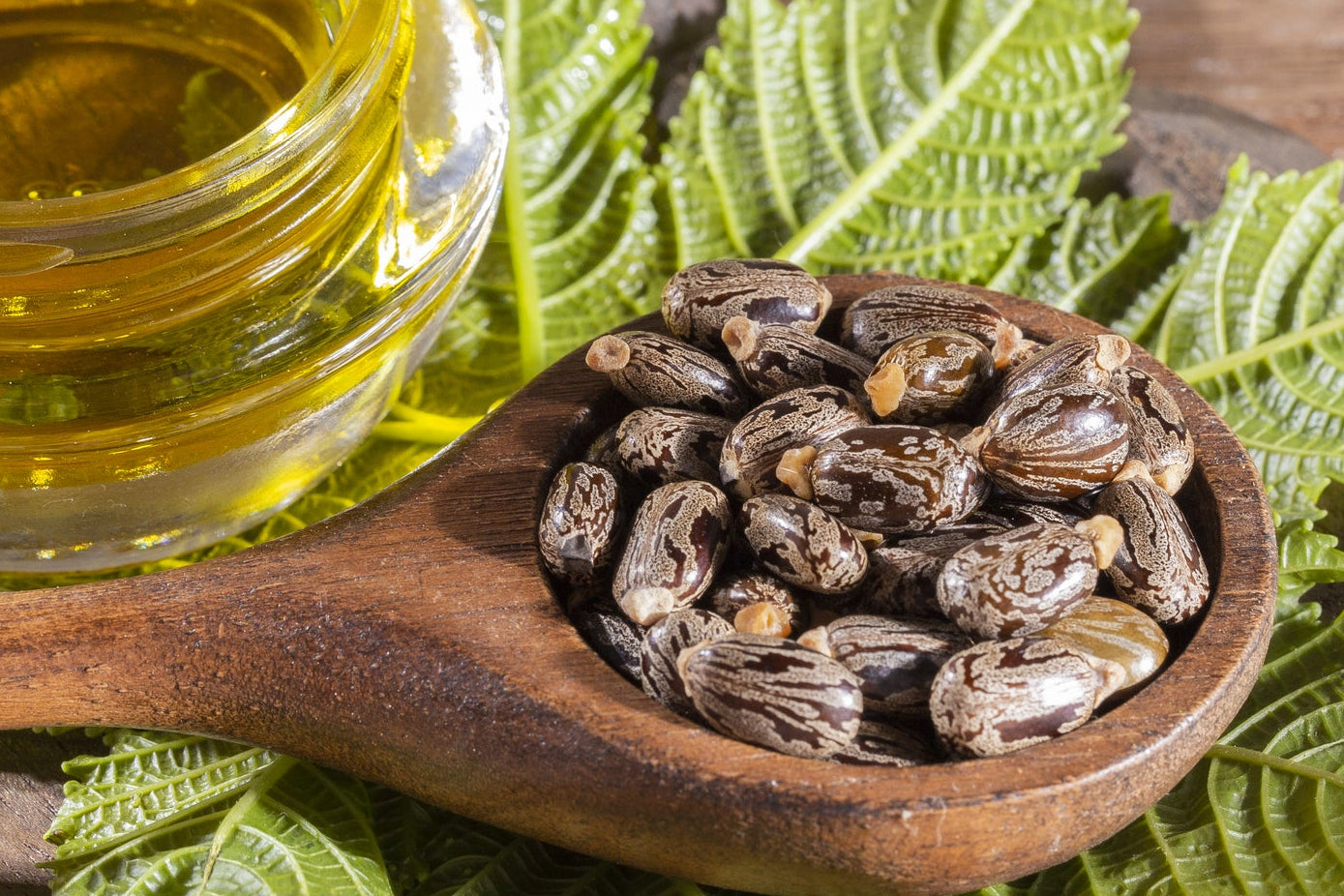 Castor Oil