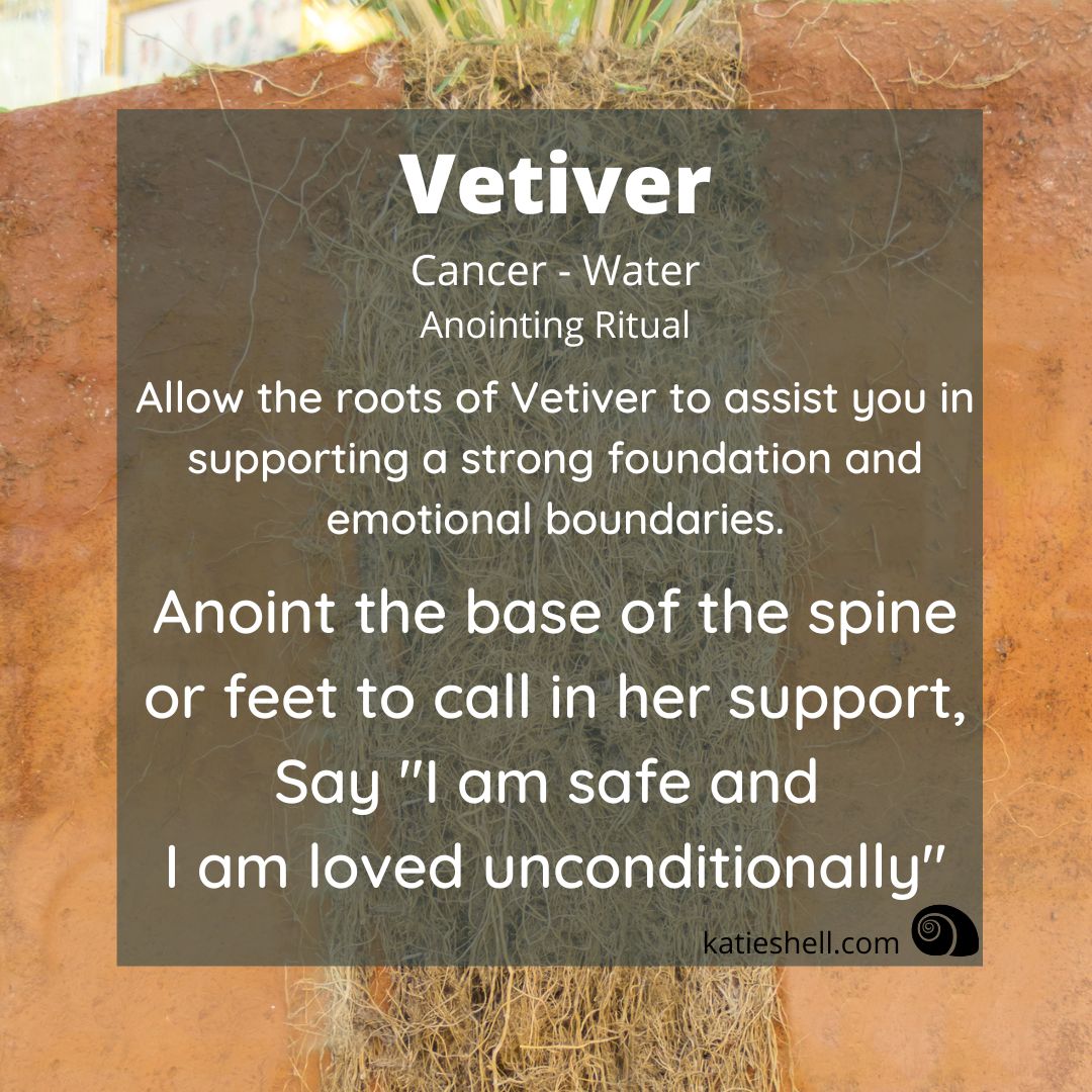 Vetiver