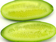 Cucumber Seed Hydrolat (hydrosol)