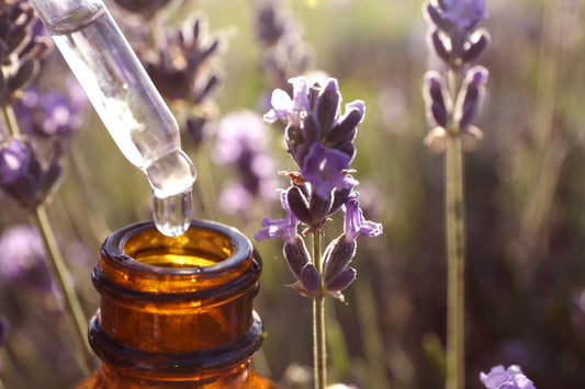 Private Sacred Botanicals & Aromatherapy Certification Course