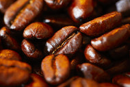 Coffee bean absolute